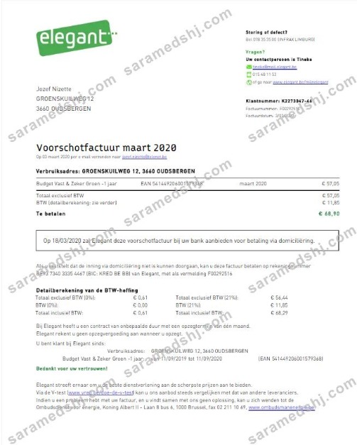 BELGIUM ELEGANT utility bill Word and PDF template